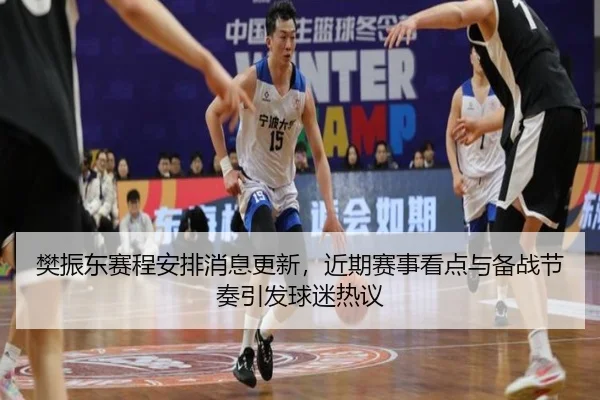 樊振东赛程安排消息更新，近期赛事看点与备战节奏引发球迷热议